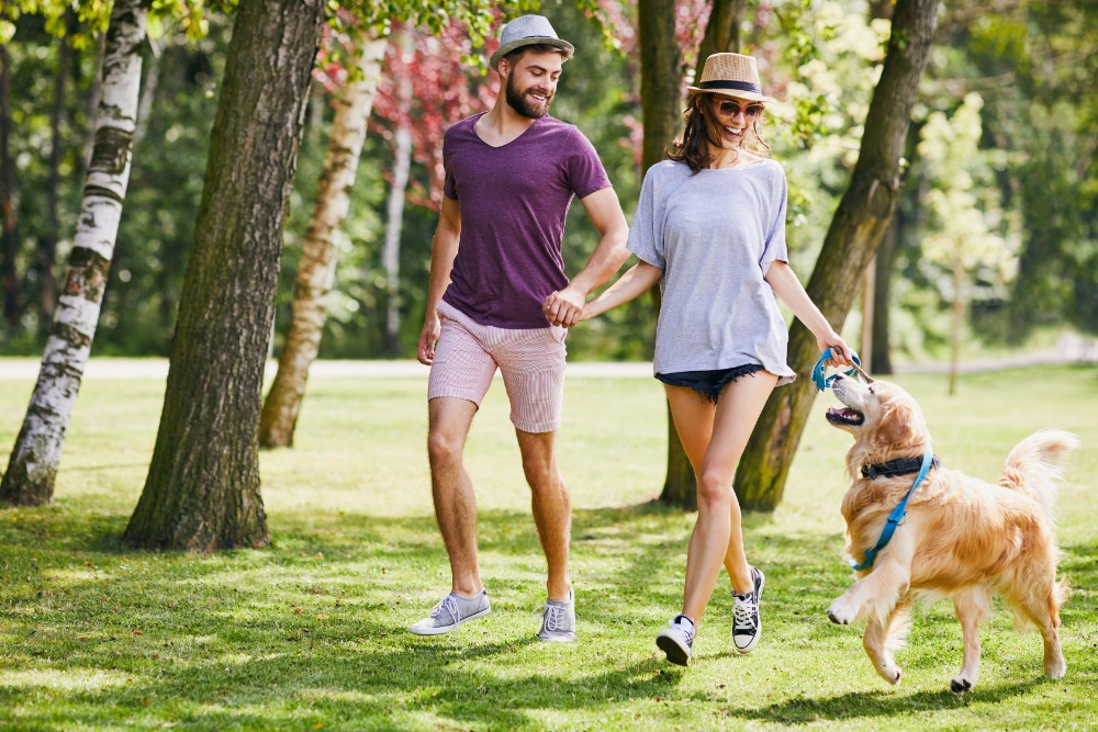 Couple walking a dog in a New Lifestyle in Recovery